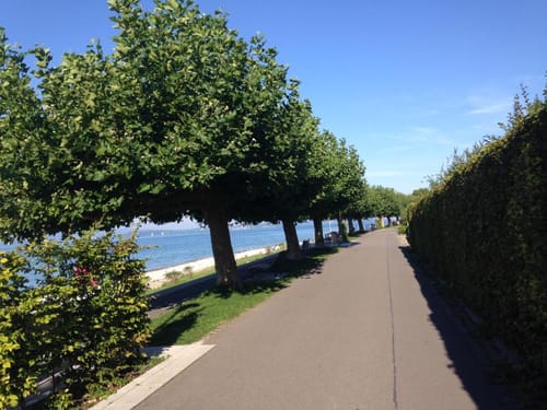 Bodensee - Radweg: Lindau - Radolfzell