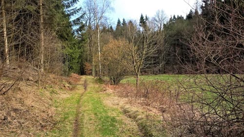 Rundweg Bergmännel