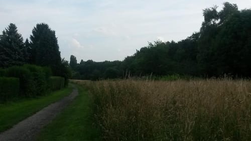Herne-Dortmunder- Witten