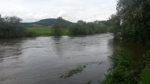 Ebensfelder Main-Runde - Wiesener Rundweg