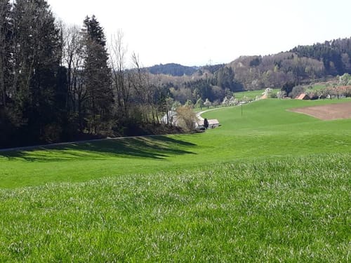 Wasserroute 10 Grünkraut