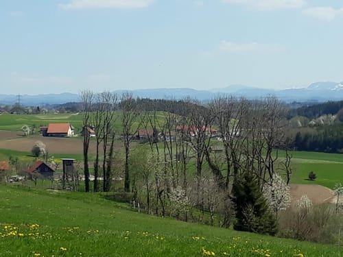 Georoute 18 Bodnegg