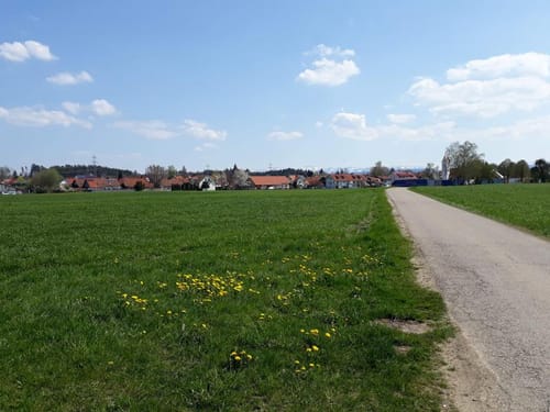 Wanderrundweg 13: Über Siglisberg nach Haslach