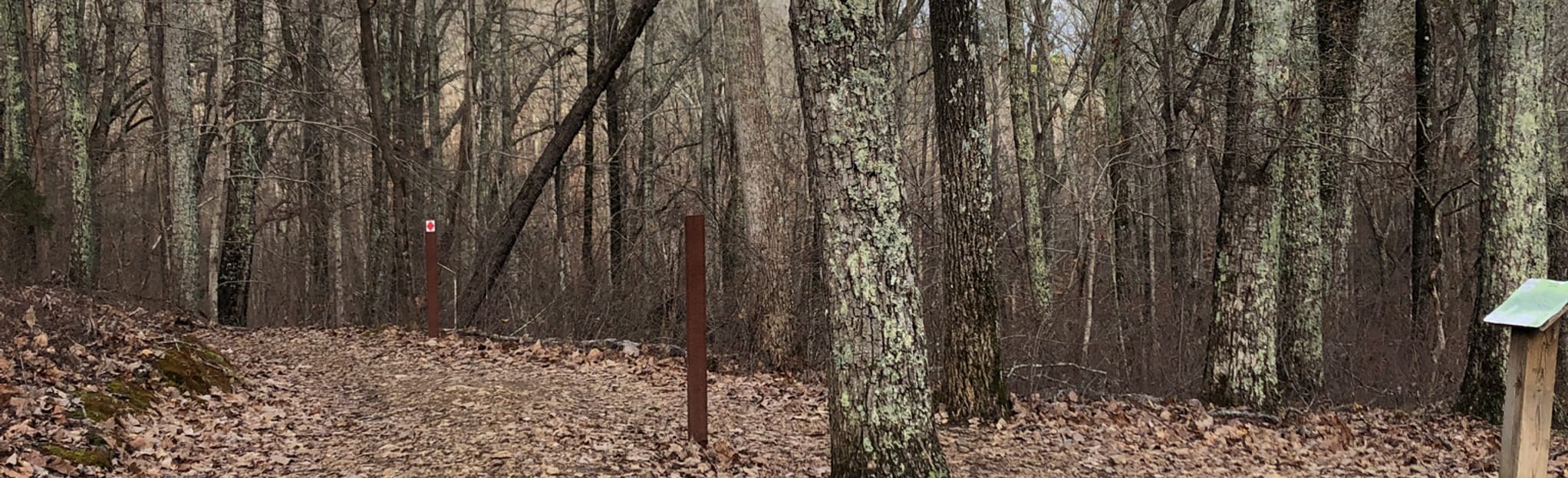 Bauxite Murky Marsh Trail, Tennessee 294 Reviews, Map AllTrails