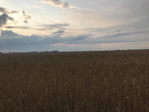 Rund um Mühlen-Kroge/Ehrendorf