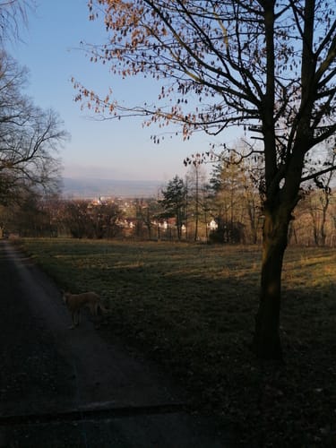 Am Fambach zwischen Fambach und Heßles