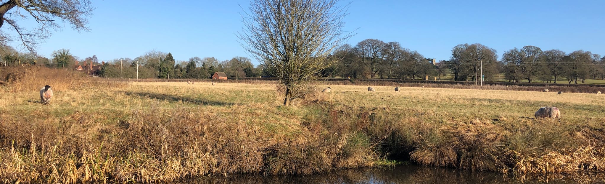 The Dog and Doublet Sandon Park and Canal Walk 169 foto's