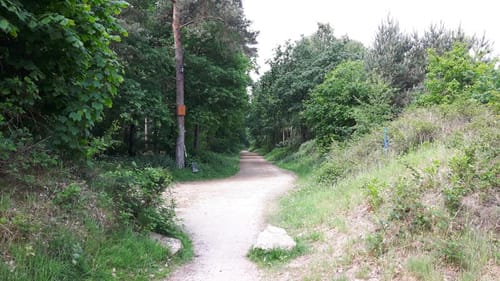 Offlumer See