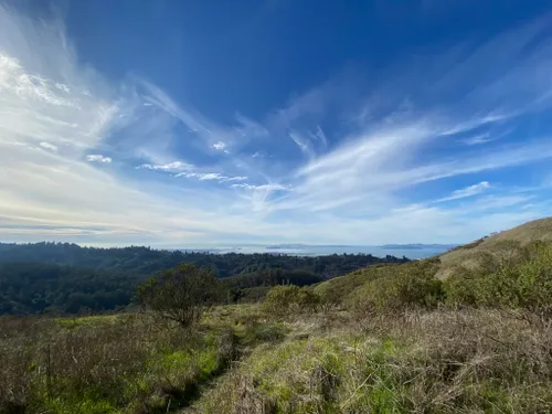 Best 10 Hikes and Trails in Tilden Regional Park | AllTrails