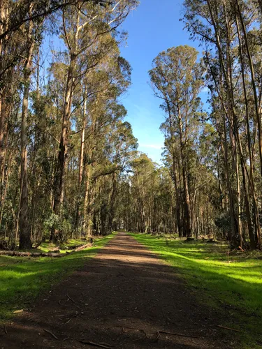 Best Walking Trails in Point Pinole Regional Park | AllTrails