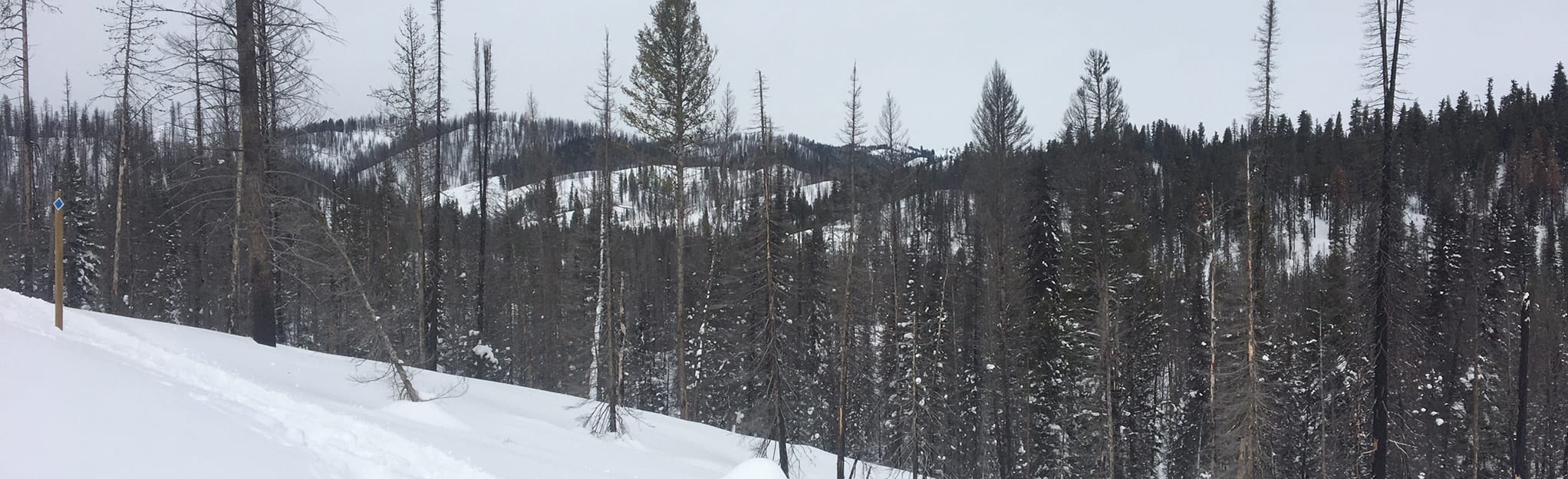 AllTrails Valley Wagon Trail 20 Reviews, Map Idaho