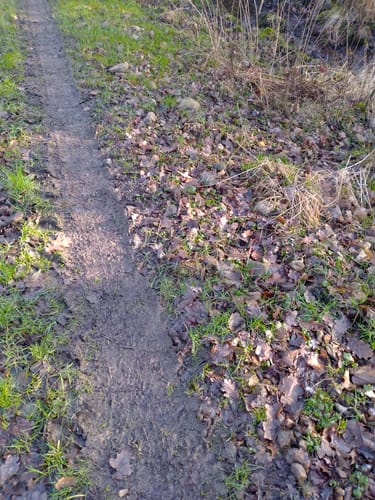 Radbruch Hohes Holz
