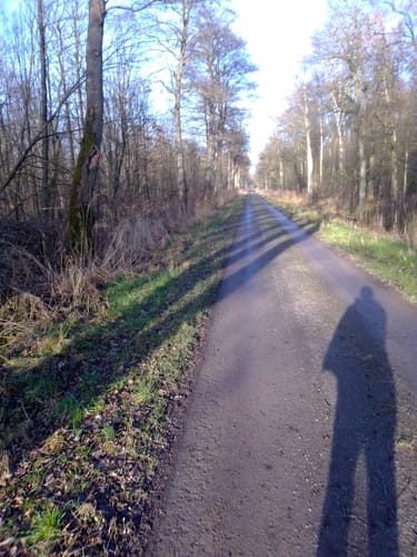 Radbruch Hohes Holz