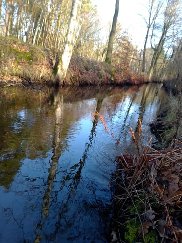 RTF Winsen - Durch Marsch und Heide  - 46er Strecke