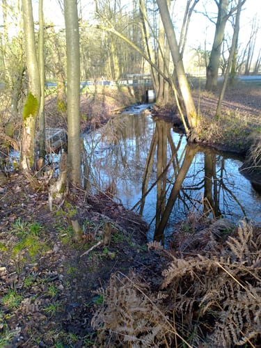 RTF Winsen - Durch Marsch und Heide  - 46er Strecke