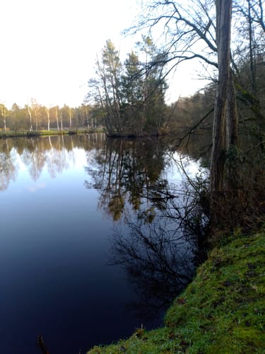 Radbruch Hohes Holz