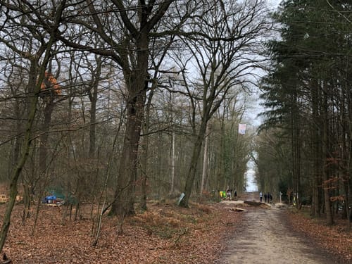 Hambacher-Forst