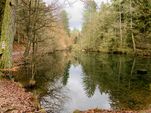Burgwaldpfad Etappe 2: Oberrosphe - Münchhausen