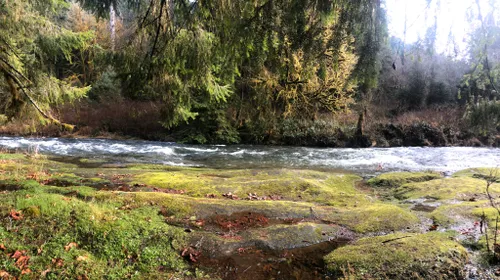 mappa del fiume alsea oregon