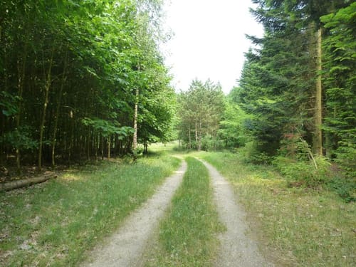 Kasseedorfer Teiche und Umgebung