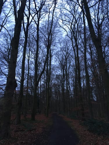 X9 Rhein-Maas-Weg