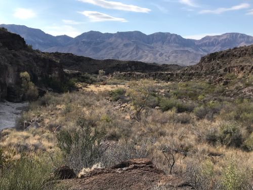 Best 10 Hikes and Trails in Big Bend Ranch State Park | AllTrails