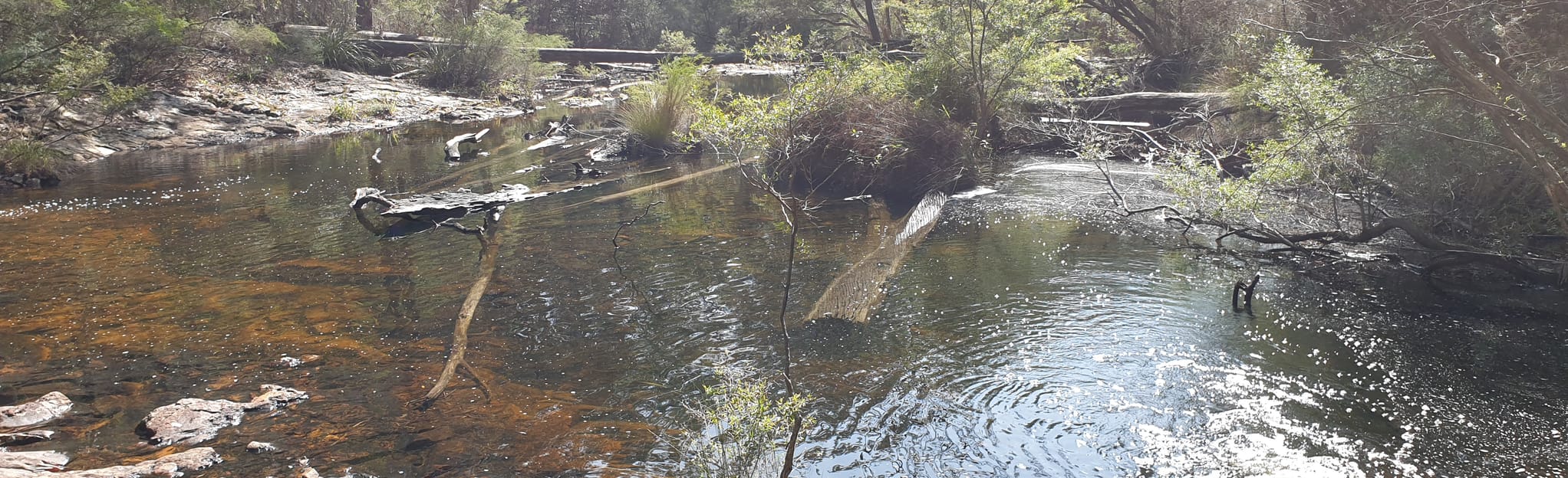 Minyon and Condong Falls Loop [GESPERRT]: 311 Fotos - New South Wales ...