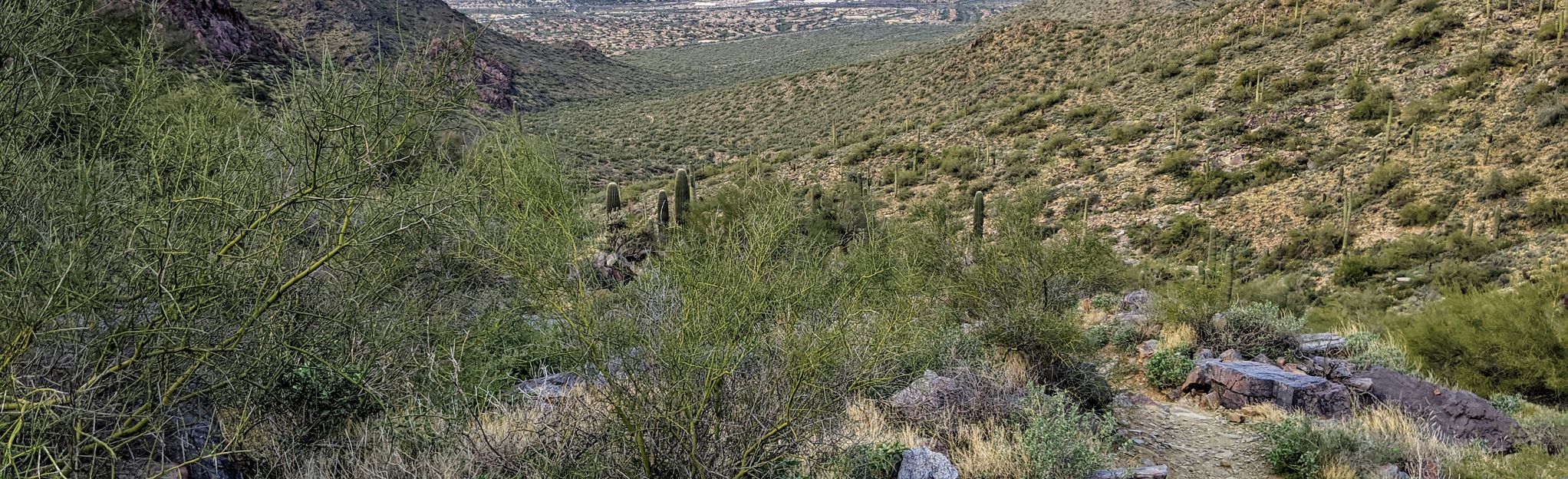 Gateway Loop, Bell's Pass, Prospector Trail and Thompson Peak 3 706