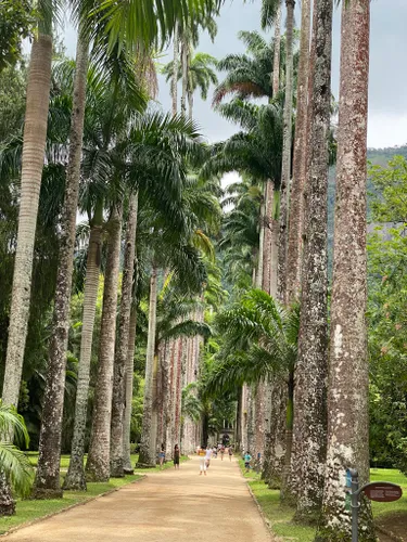 Jardim botanico Irmaos Vilas Boas - All You Need to Know BEFORE You Go  (with Photos)