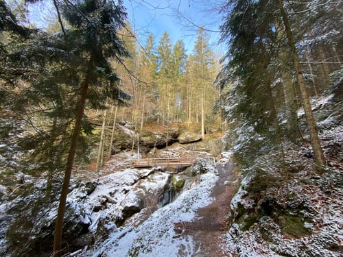 Um Riedlberg