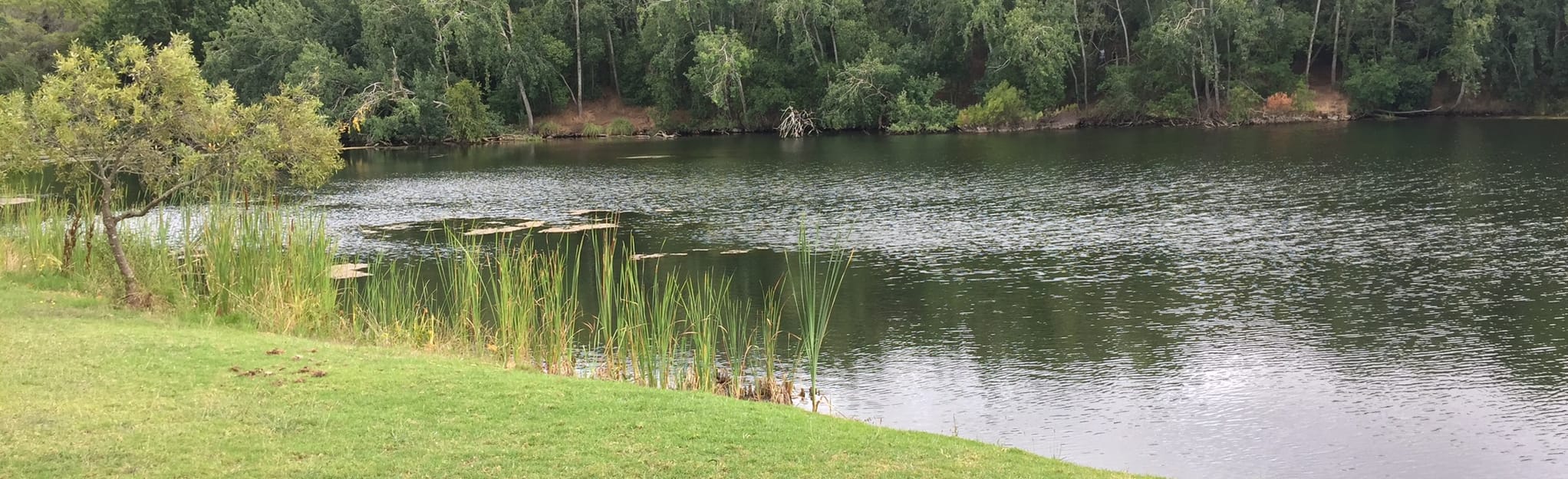 Majik Forest Walking Trail, Western Cape, South Africa 173 Reviews