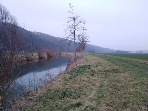 Rund um Föhrste