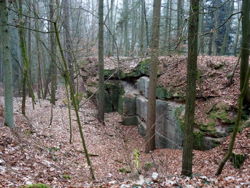 MTB: Rund um den Fürther Stadtwald