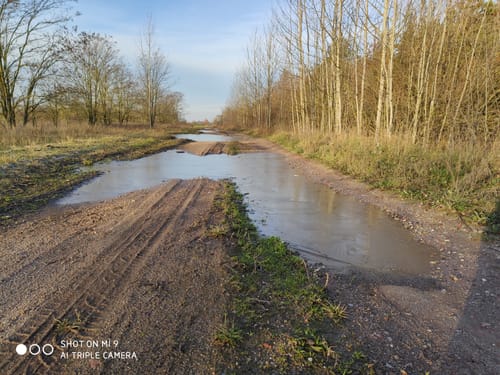 Sandersdorf-Brehna Landschaftssee Köckern