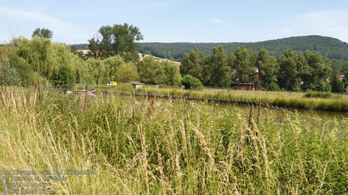 MTB: Stangenroth - Frauenroth - Bad Bocklet