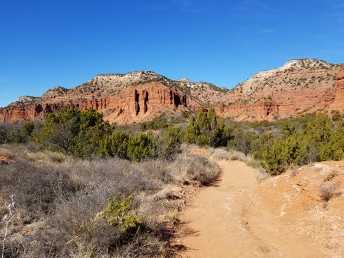 are dogs allowed at caprock canyon state park