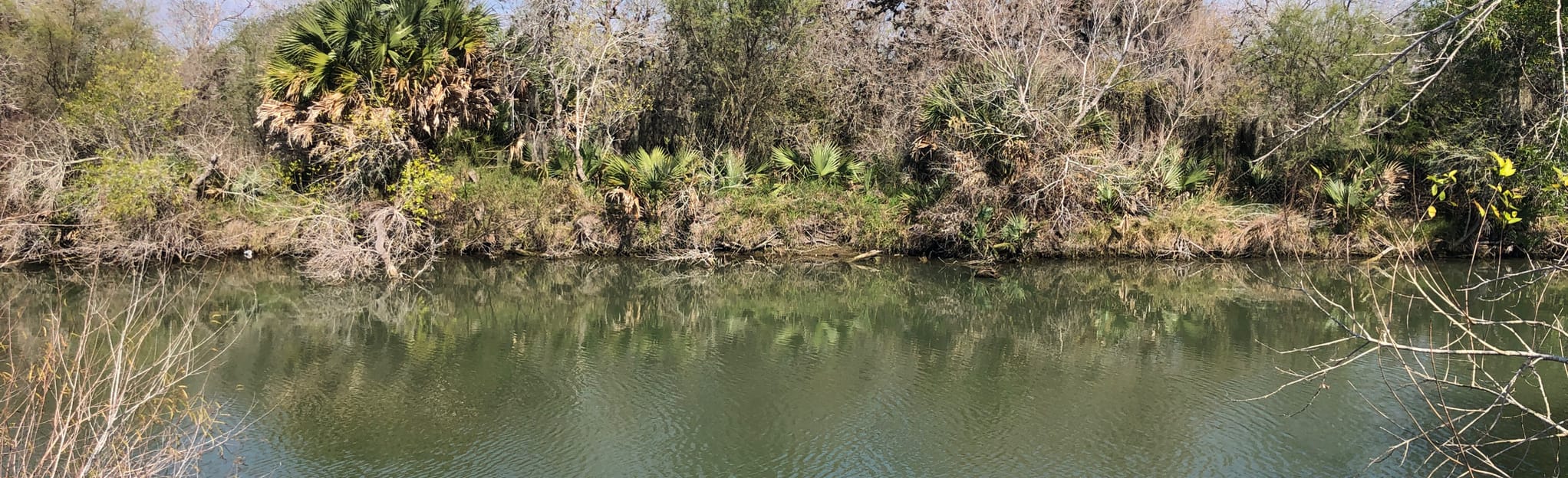 Hazel Bazemore Park Loop, Texas 38 Reviews, Map AllTrails