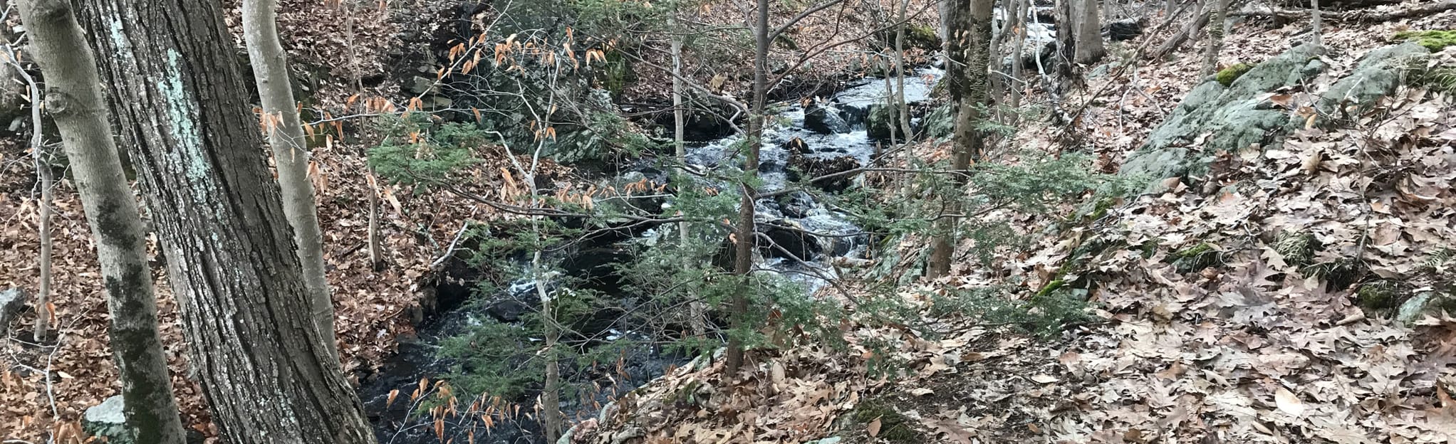 Weston Station Pond Loop, Massachusetts 125 Reviews, Map AllTrails