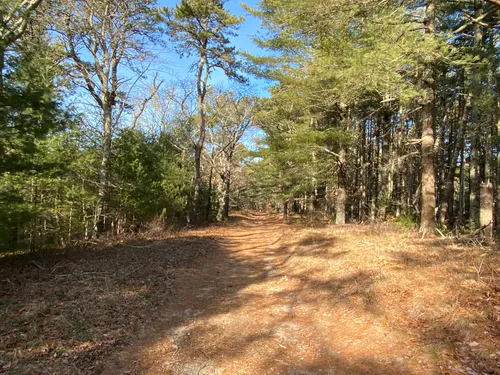 nickerson state park bike trails