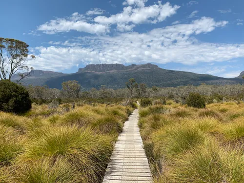 10 Best Trails and Hikes in Lake St Clair | AllTrails