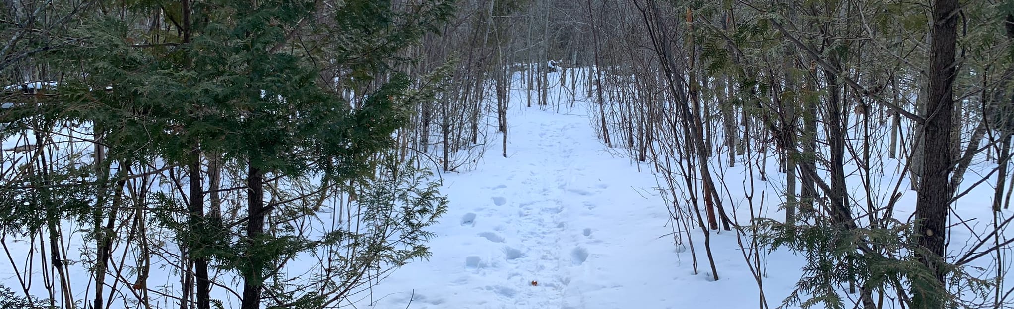 White Cliff Nature Preserve 48 Reviews, Map Wisconsin AllTrails