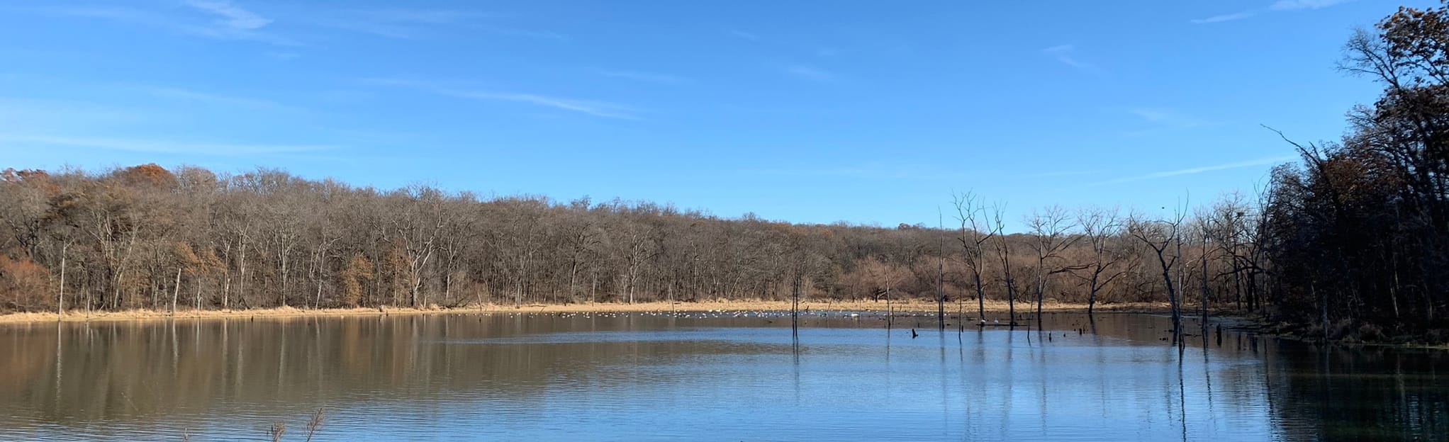 Lake Wapello Lake Shore Trail 40 Reviews, Map Iowa AllTrails