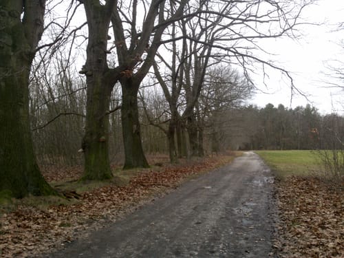 Heide-Teichlandschaft