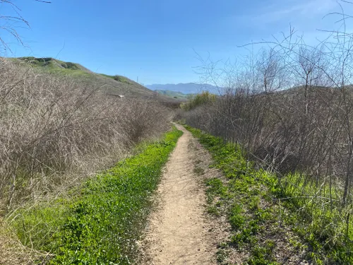 are dogs allowed at chino hills state park