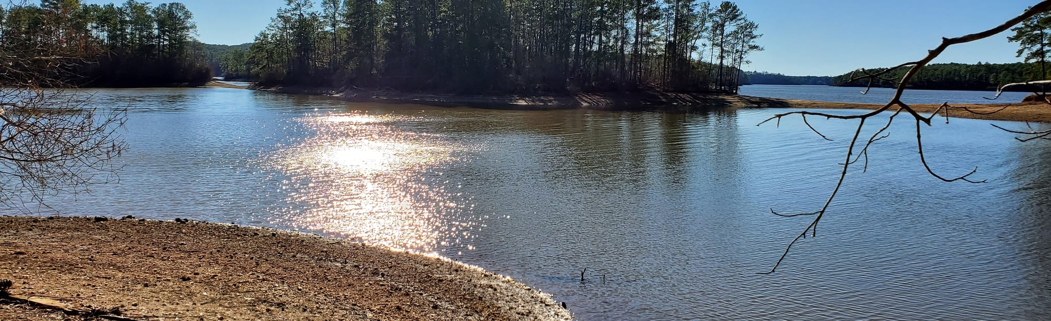 Lakeshore Trail 199 Reviews, Map Alabama AllTrails