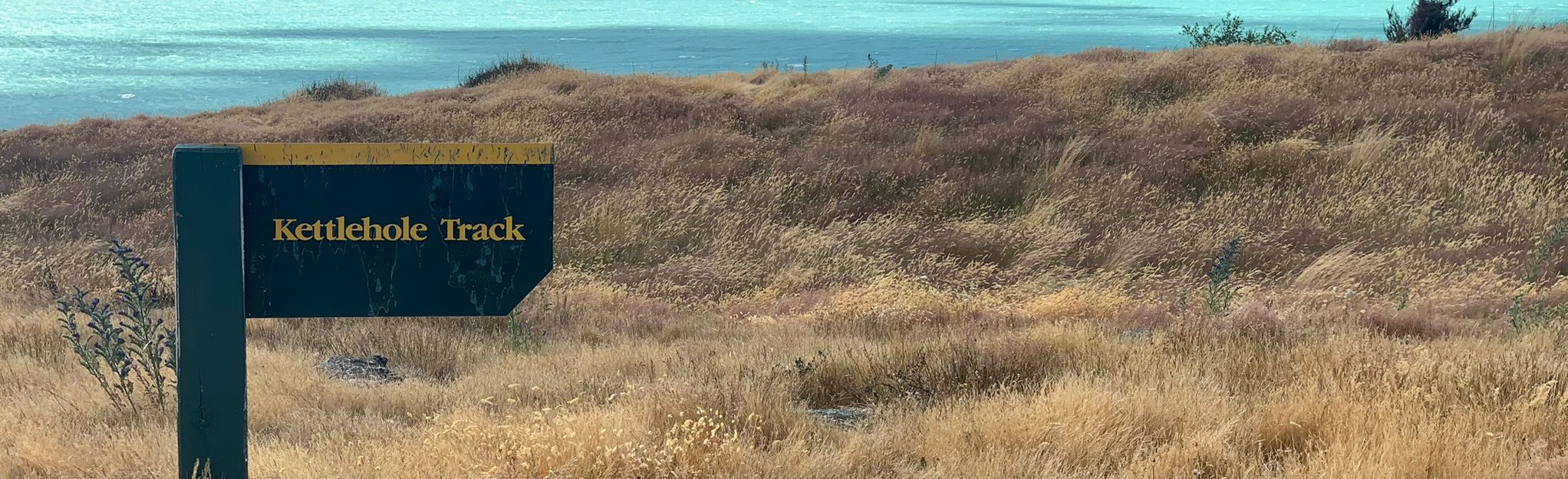 Pukaki Kettle Hole Track 120 Reviews, Map Canterbury, New Zealand