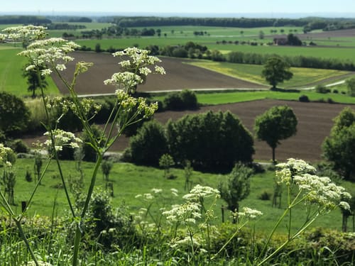Stromberg - Gaßbachtal