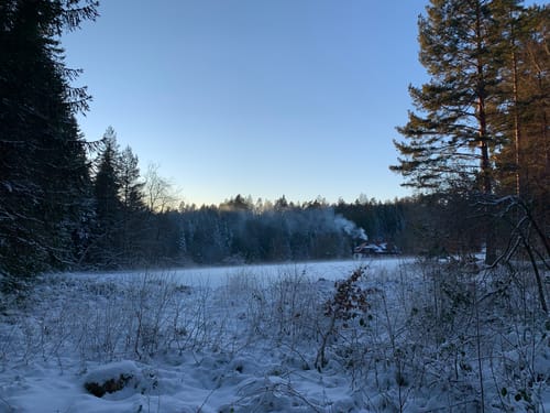 Waldpfad Groppertal (Premiumwanderweg)