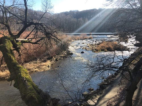 Entlang der Mulde