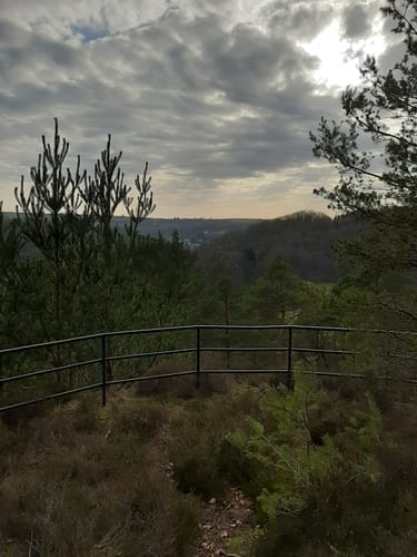Waldfischbach Panoramarunde